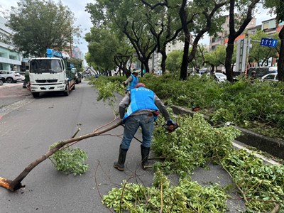 01中市建設局救災團隊協助高雄救災-道路沿線樹木斷枝阻礙交通_0