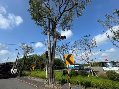 強風易斷枝-傾倒-竄根浮根則破壞電箱-溝壁-導致公共安全_0