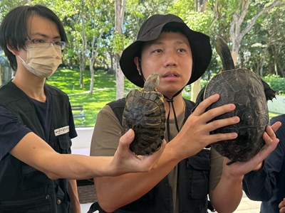 01-守護原生生態提升保育行動力!中市建設局辦「斑龜辨識教育訓練」_0