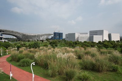 01-中央公園五節芒草花季登場,邀市民秋日賞花野餐享悠閒時光_0