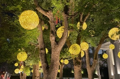 你我一起點亮臺中！中市行道樹121起免費懸掛燈飾，打造最美節慶城市！