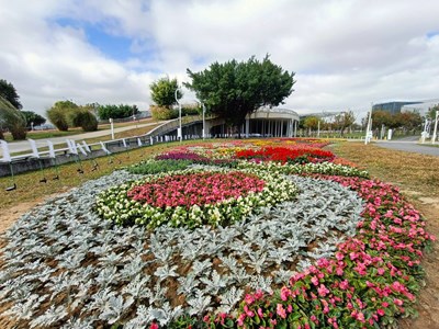 中央公園繽紛花卉