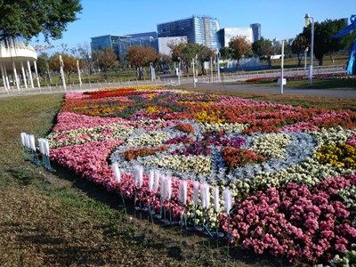 中央公園種植鮮豔的蒔花-歡迎各位市民朋友來中央公園走春_0