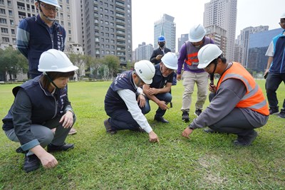 市政公園啟動第二階段草皮活化工程