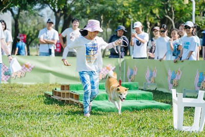 01毛孩-野-要一起chill中央公園變身寵物派對樂園_0