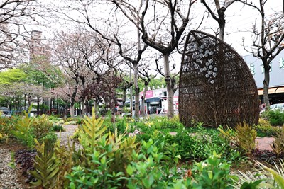 02-南區忠明園道花之道計畫-工程已於4月完工開放_0