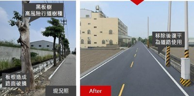 移植前後對照jpg