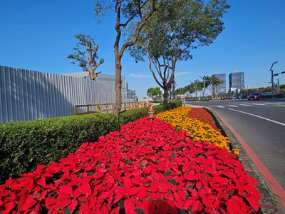 中科路經貿七路(綠美圖周邊)