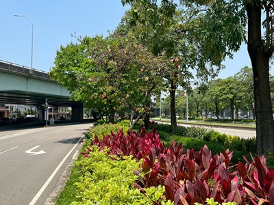 台中市7年公私協力城市綠化成果豐碩！企業響應ESG認養行動深化永續友善環境