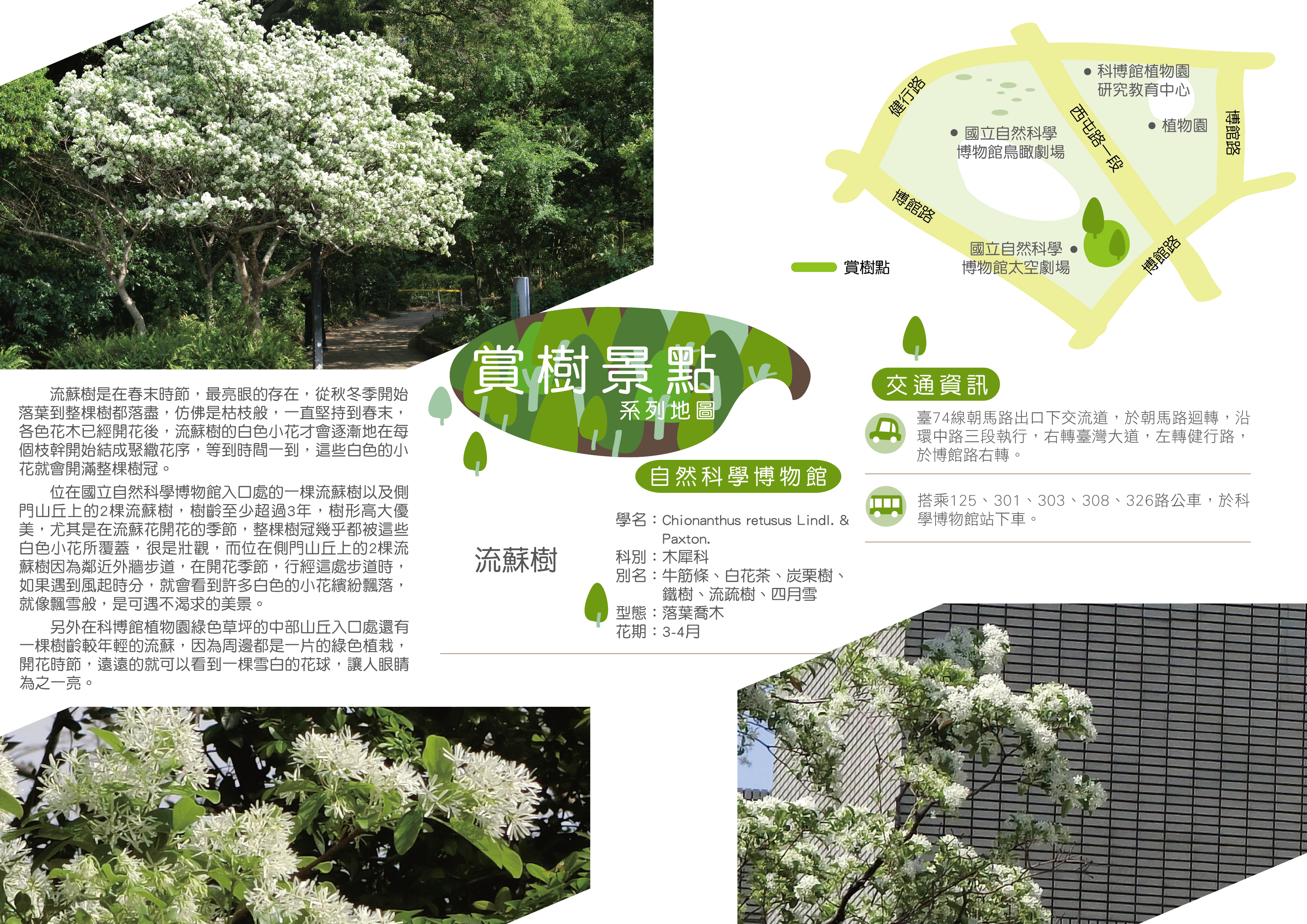 臺中市政府建設局 賞樹景點 賞樹景點 北區自然科學博物館