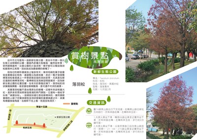 新都生態公園落羽松-01