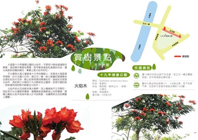 十九甲健康公園火焰樹-01