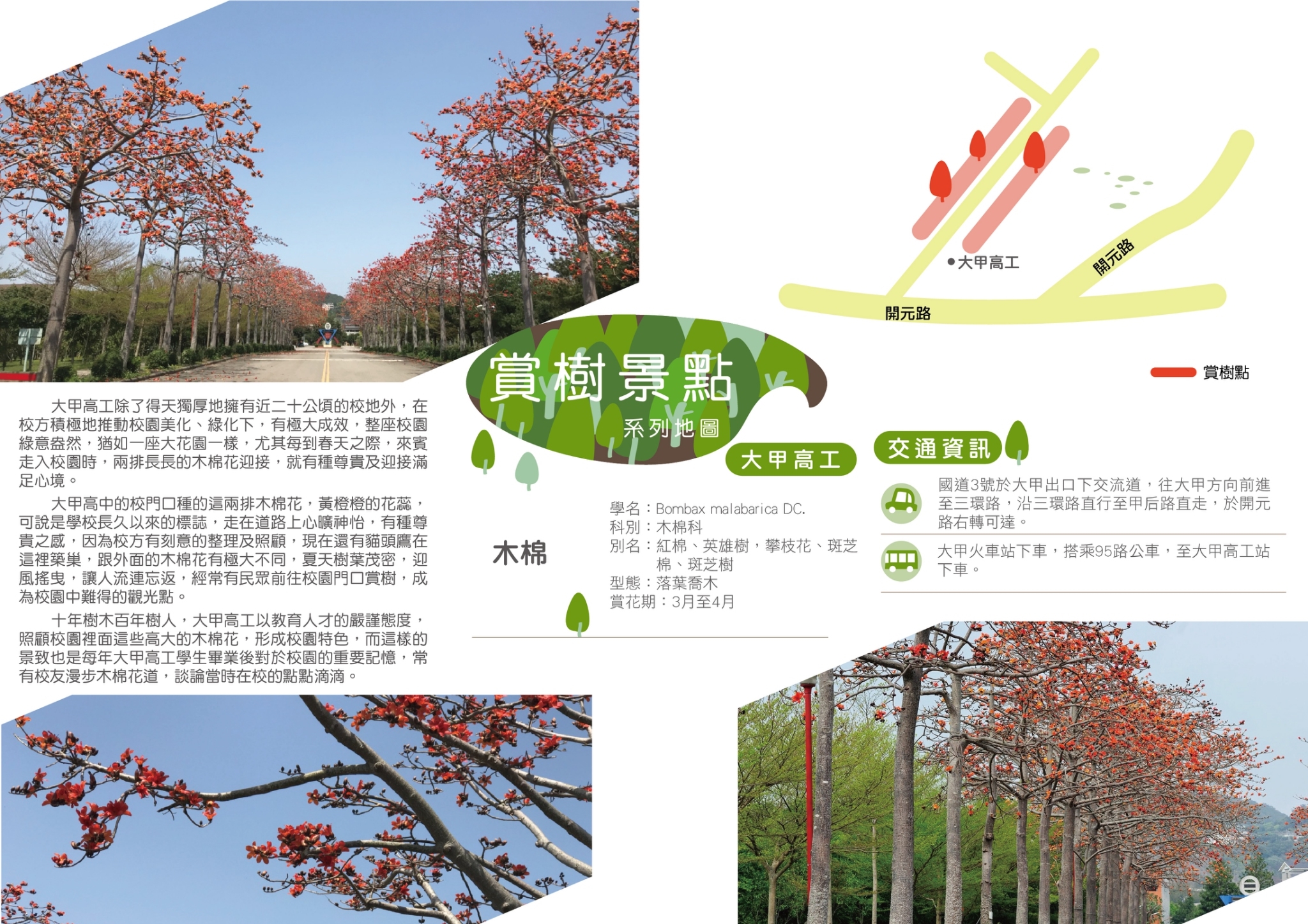 臺中市政府建設局 賞樹景點 賞樹景點 大甲區大甲高工