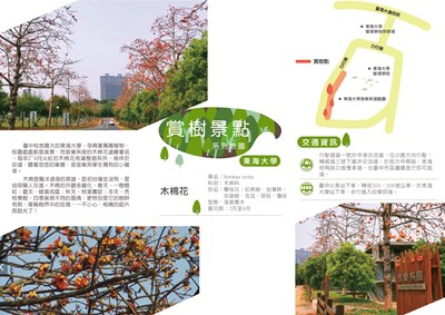 臺中市政府建設局 賞樹景點 賞樹景點 西屯區東海大學 3