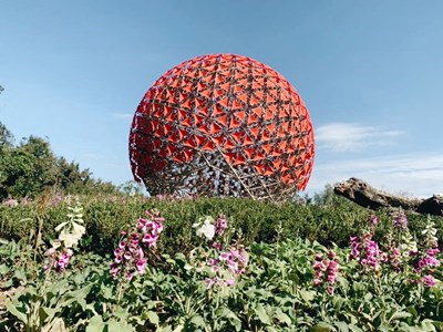 模擬海拔2500公尺以上的高山地景-走進高山霧林帶-聆聽花開的聲音