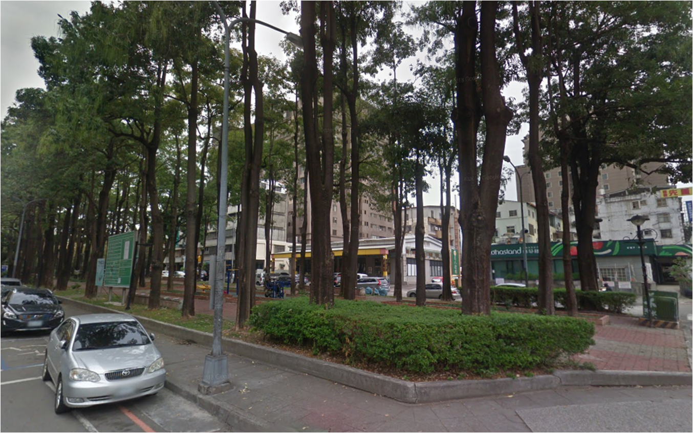 建構舒適人行空間-南區忠明園道等百餘株黑板樹逐步移除