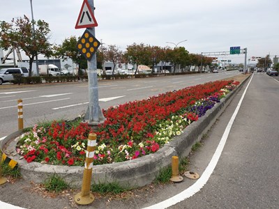 中央分隔島花海1