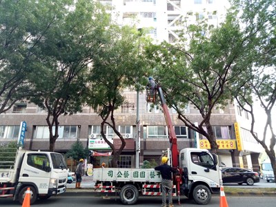 建設局進行2萬多株行道樹減災修剪