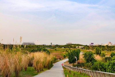 季節限定快來打卡-台中中央公園五節芒超吸睛