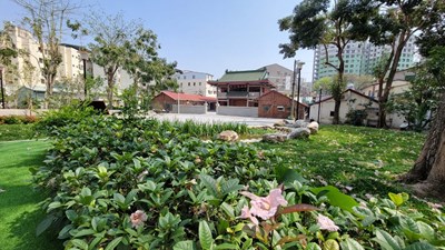 優化設施串聯地方特色-西平大漁池文化公園啟用