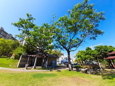 北屯區敦化公園