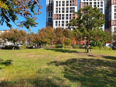 北屯區潮春公園豐樂路17巷