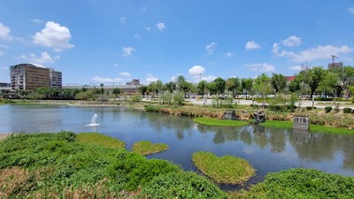 守護星泉湖生態-中市建設局引回收水穩定水位