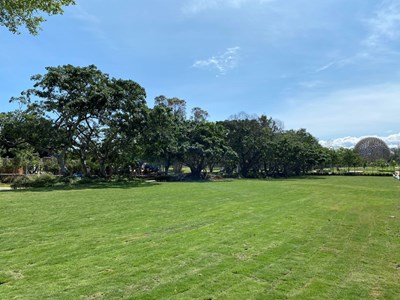 舒適後花園再加一-后里森林公園大草皮優化完工