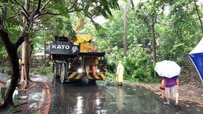 熱帶低氣壓夾帶大雨來襲-中市府持續加強路樹巡檢