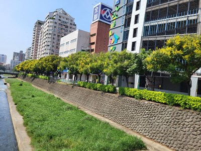 行道樹適地適種-中市建設局-共創台中美好景觀