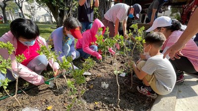 111年大里區公所大里公園綠美化成果照片