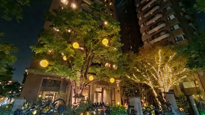 點亮台中-中市府開放行道樹免費懸掛燈飾